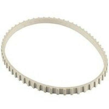 Dolphin par Maytronics Willy robot externe gris pour piscine piste