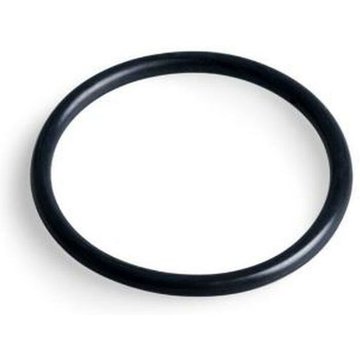 Intex Piscine - Joint torique du filtre d'entrée pour 28001