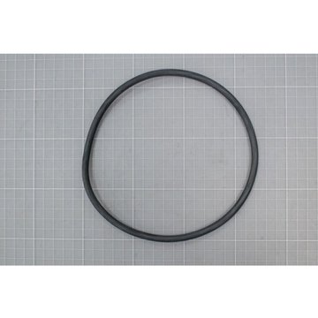 Joint torique pour couvercle de filtre à sable AstralPool pour piscine