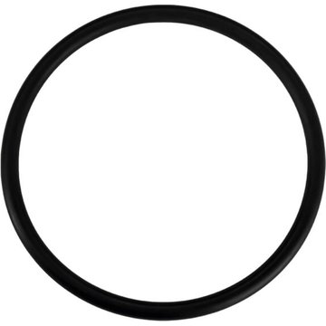 Hayward Pool Europe - Joint torique pour projecteur piscine Cofies 100W - PHPX34012B