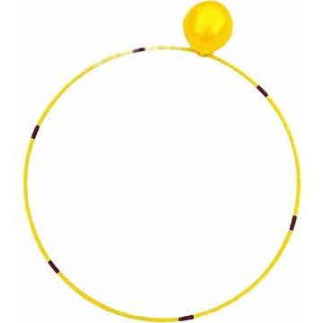 TUMALAGIA - Jouet de piscine : Cerceaux de plongée pour enfants - Accessoires de sports sous-marins pour les activités de plein air en piscine