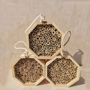 La ruche en bois de maon pour la maison des abeilles attire les abeilles, les pollinisateurs pour améliorer la pollinisation, pour le jardin, la