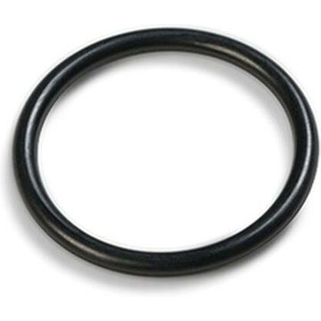 Anneau d'étanchéité Intex Piscine