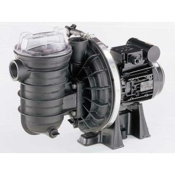 Pompe piscine Habitat et Jardin Sta-rite - 1 CV triphasé