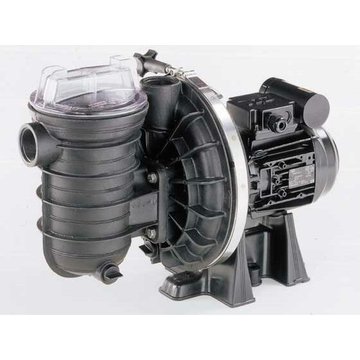 Habitat et Jardin - Pompe piscine Sta-rite - Spéciale eau salée - 3/4 CV monophasé