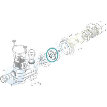 Turbine ø 99 x 9 pour pompe de piscine Série HGS050 HYDROSWIM