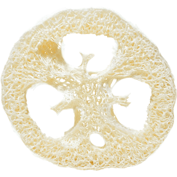 Disco di Luffa