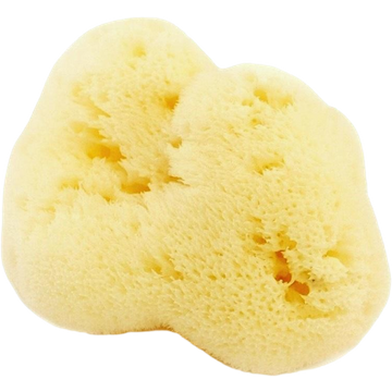 Spugna Naturale Fine Dama Sbiancata - 4