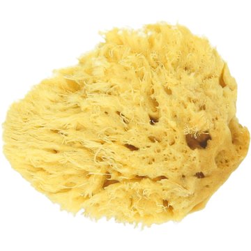 Spugna Naturale Honeycomb - S