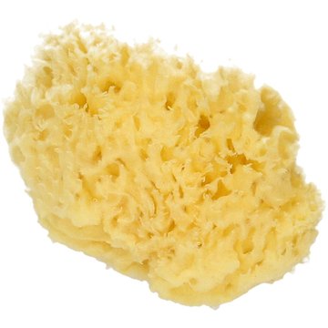 Spugna Naturale Honeycomb - M