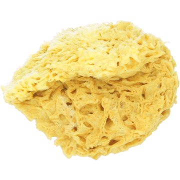 Spugna Naturale Honeycomb - L