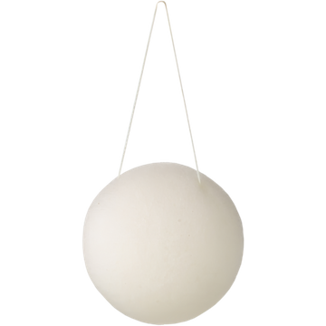 Konjac Sponge