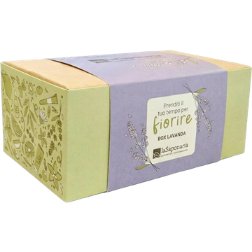 Box Lavanda