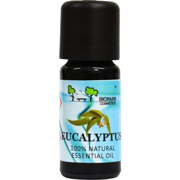Eucalipto