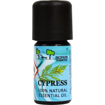Cipresso
