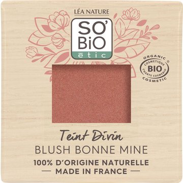 Teint Divin Rouge