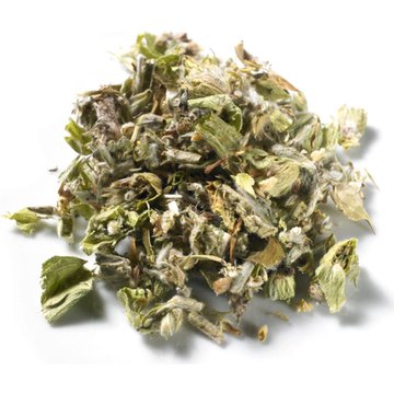 Infuso di Montagna Greco