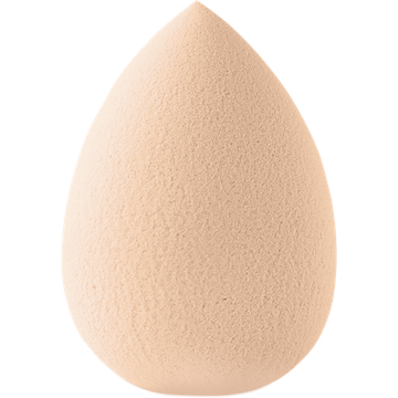 Foundation Sponge