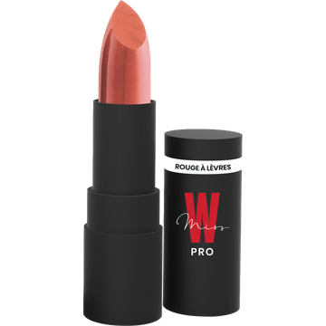 Glossy Lipstick