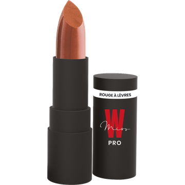 Glossy Lipstick