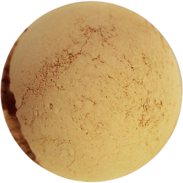 Vegan Mineral Foundation Minisize - Y4 Warm Sand
