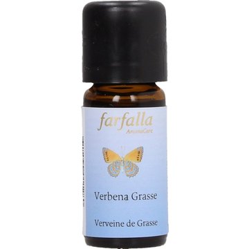 Verbena Grasse