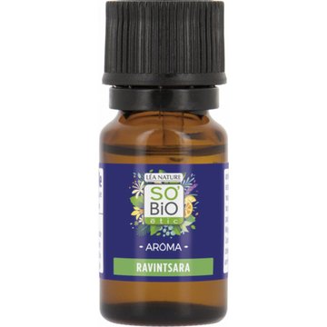 AROMA - Olio Essenziale Bio - ravintsara