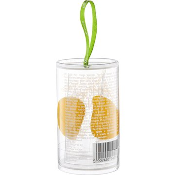 Mango Sponge - Mini