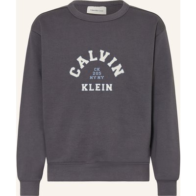 Calvin Klein Sweatshirt grau