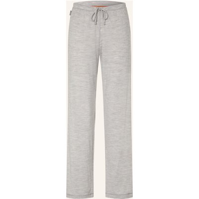 Icebreaker Jerseyhose 150 Lodge Aus Merinowolle grau