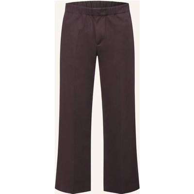 Sandro Chino Regular Fit braun