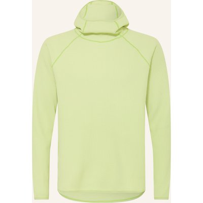 Goldwin Hoodie Wf Light gruen