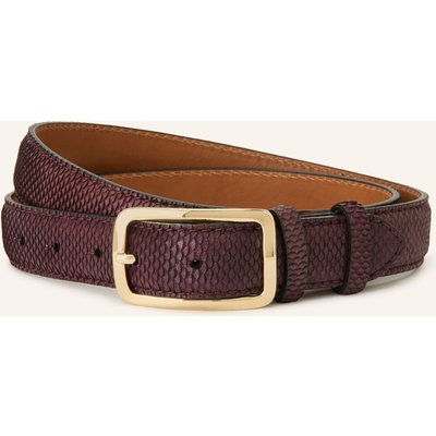 Reptile's House Gürtel Blind rot