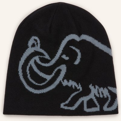 Mammut Mütze Zum Wenden schwarz