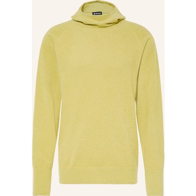 Goldwin Hoodie gruen