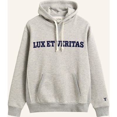 Gant Hoodie grau
