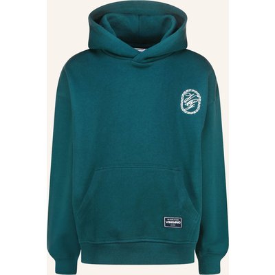 Vingino Hoodie Icon gruen
