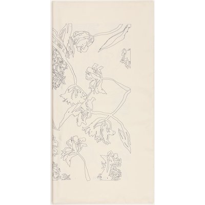 Aeneis Seidentuch beige