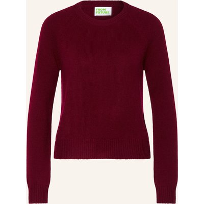From Future Cashmere-Pullover rot
