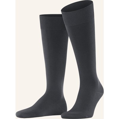 Falke Kniestrümpfe Ultra Energizing grau