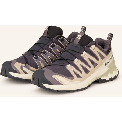 Salomon Wanderschuhe Xa Pro 3d v9 Gtx grau