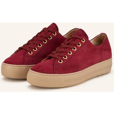 Paul Green Sneaker rot