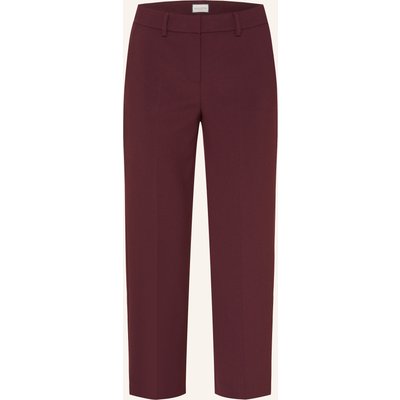 Seductive Hose Lucasse rot