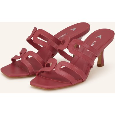 Carrano Mules rot