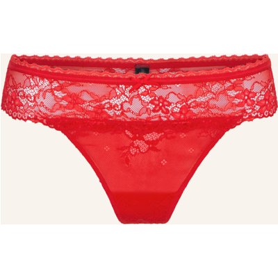 Lingadore Daily String rot