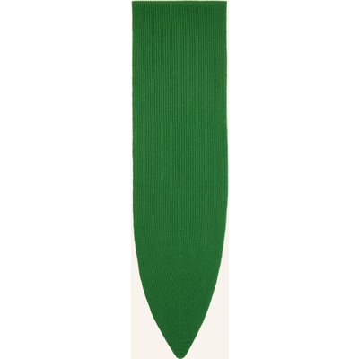 Windsor. Cashmere-Schal gruen