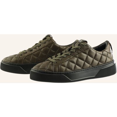 Högl Sneaker Marley gruen