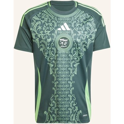 Adidas Algerien 24 Auswärtstrikot gruen