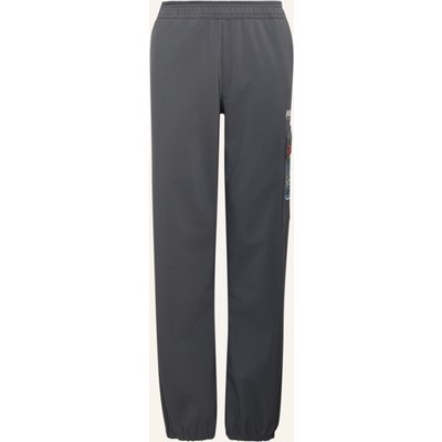 Adidas Terrex Adidas Minecraft Terrex Climawarm Softshell-Hose grau