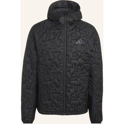 Adidas Terrex Terrex Xperior Primaloft Jacke, Kapuze, Isoliert, Lose Füllung schwarz